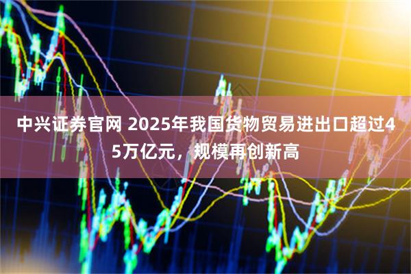 中兴证券官网 2025年我国货物贸易进出口超过45万亿元，规模再创新高